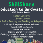 Skillshare Birdwatching